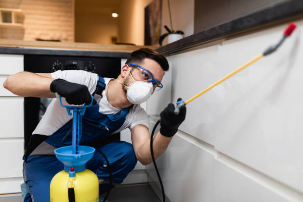 Best Pest Inspection Near Me  in Linn, MO
