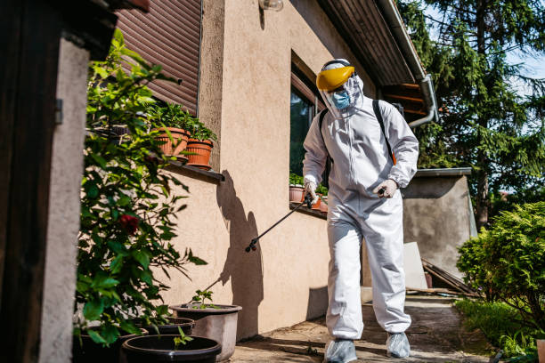 Best Insect Control  in Linn, MO