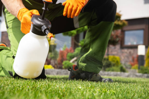 Best Affordable Pest Control Services  in Linn, MO