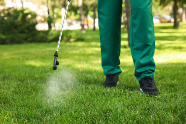 Best Exterminator Services  in Linn, MO