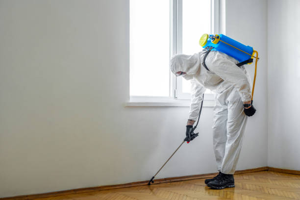 Best Residential Pest Control  in Linn, MO