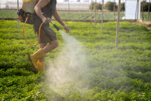 Best Best Pest Control Companies  in Linn, MO