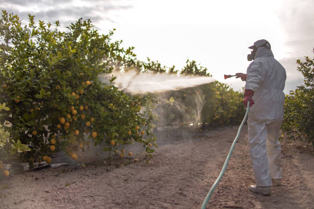 Best Affordable Pest Control Services  in Linn, MO