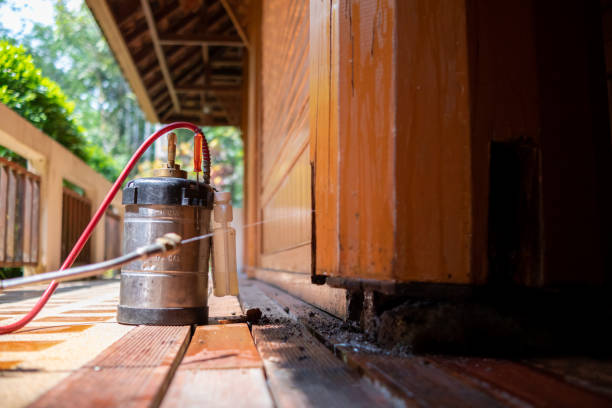 Wasp Removal Services in Linn, MO