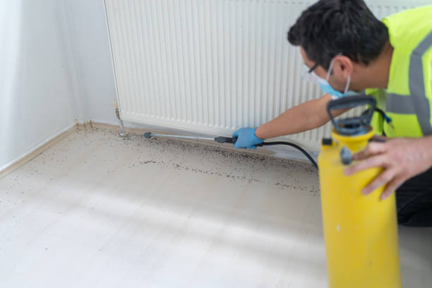 Best Affordable Pest Control Services  in Linn, MO