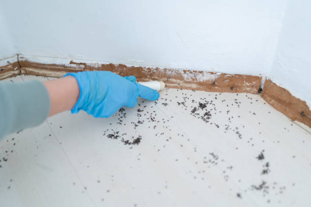 Best Commercial Pest Control Services  in Linn, MO