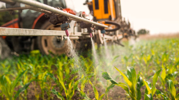 Pest Control Cost in Linn, MO